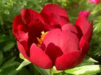 IMG_20130604_170041.jpg