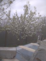 IMG_20170518_143544.jpg