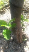20170526_104831.jpg