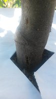 20170526_113146.jpg