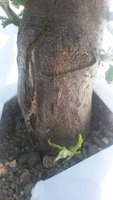 20170526_113310.jpg