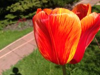 IMG_6250.JPG
