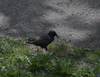 _DSC0068_00002.jpg