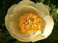 IMG_20130605_194612.jpg