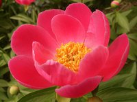 IMG_20130605_195043.jpg