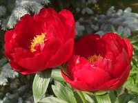 IMG_20130606_003446.jpg