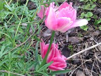 IMG_6267.JPG