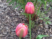 IMG_6270.JPG