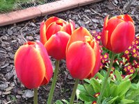 IMG_6271.JPG