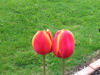 IMG_6272.JPG