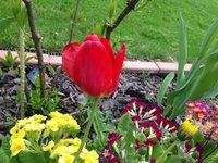 IMG_6273.JPG