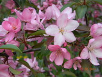 DSCN8949.JPG