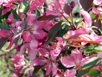 DSCN89250.jpg