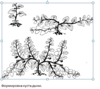 Безымянный.png