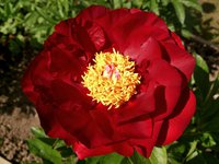 IMG_20130606_004038.jpg