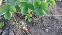 20170529_184411.jpg