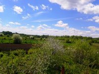 2017-05-28 14.26.07 - копия.jpg