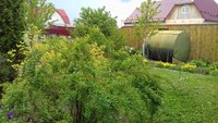20170521_135855.jpg