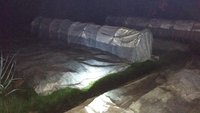 IMG_20170603_011543.jpg