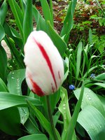 IMG_3155-1.jpg