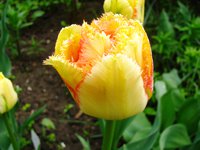 IMG_3157-1.jpg