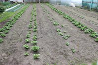 IMG_7553.jpg