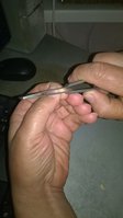 WP_20170604_006.jpg