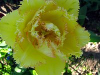 IMG_3177.JPG