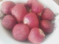 IMG2014-01.jpg