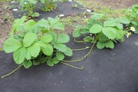IMG_7755.jpg