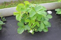 IMG_7789.jpg