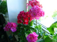 IMG_3182.JPG