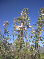 IMG_20170607_055919.jpg