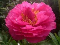 IMG_20130606_163554.jpg