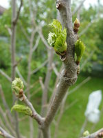 DSC05140.JPG