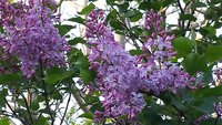 20170527_192644.jpg