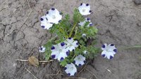 20170608_125558.jpg
