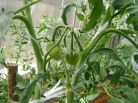 DSC06875.JPG