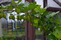 DSC_0120 (1024x681).jpg