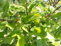DSCN1079.JPG