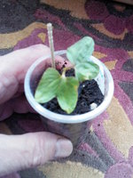 IMG10441.jpg