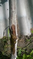 WP_20170609_07_51_18_Pro.jpg