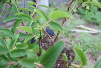 IMG_7842.jpg