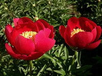 IMG_20130607_002408.jpg