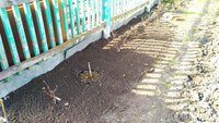 IMG_20170409_145020.jpg