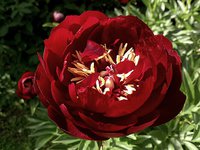 IMG_20130607_002716.jpg