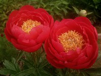IMG_20130607_003211.jpg