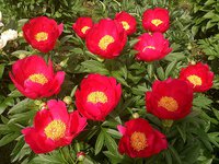 IMG_20130607_155616.jpg