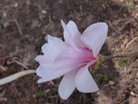 DSC00398.JPG