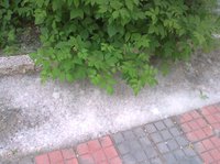 Фото0485.jpg